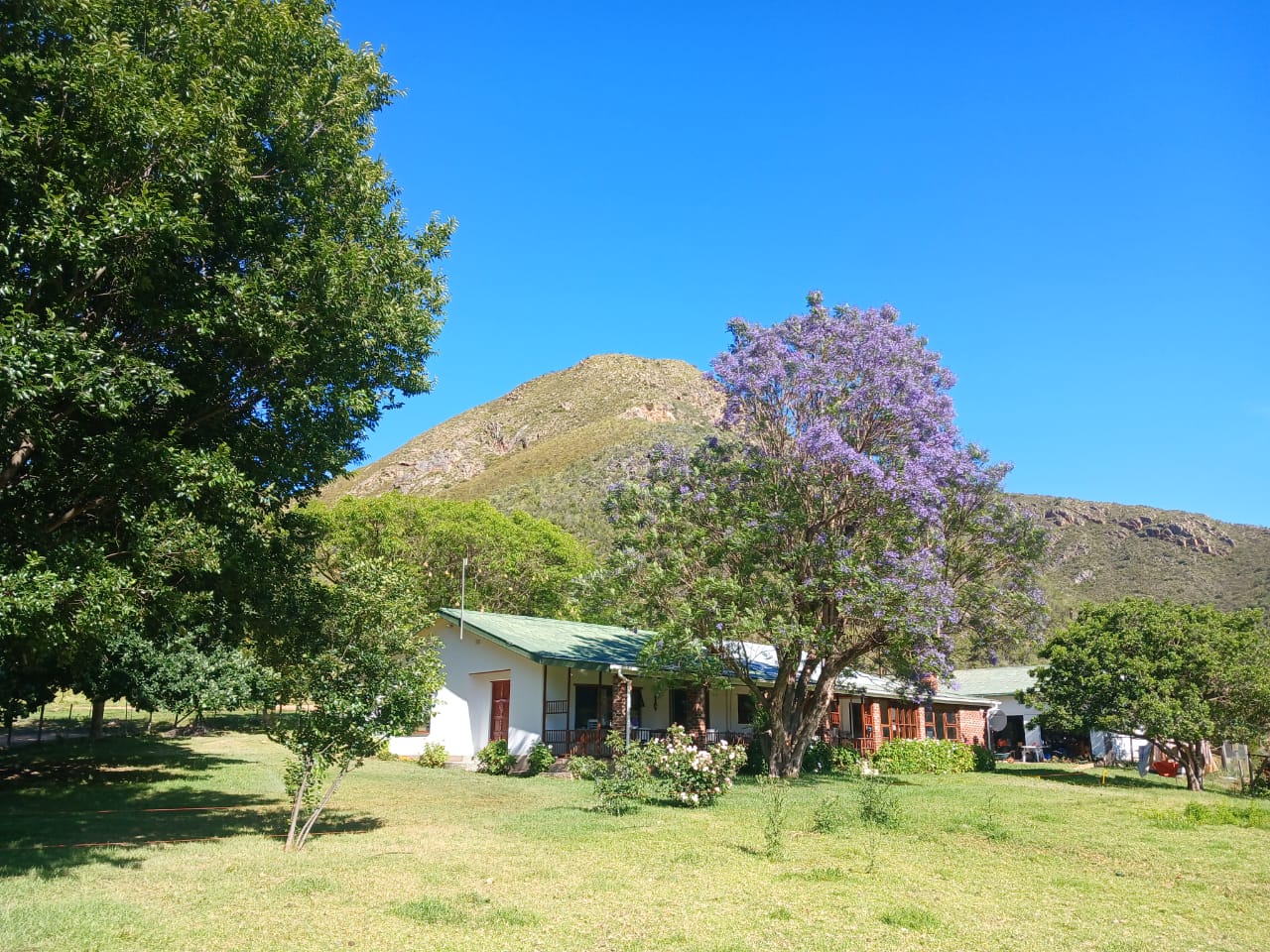 0 Bedroom Property for Sale in Joubertina Eastern Cape